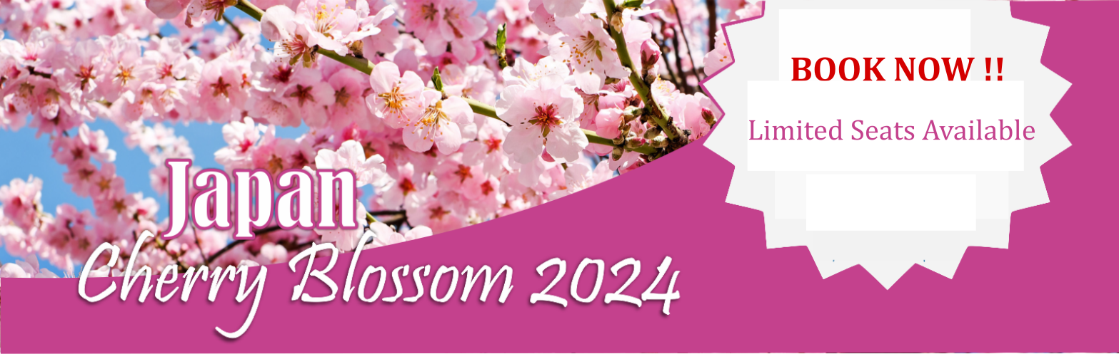 Japan Cherry Blossom with Air Tours Holidays